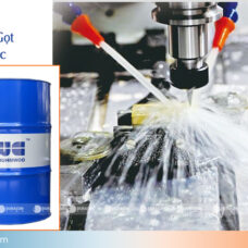 Duracon vina; giá bán dầu cắt gọt pha nước Buhmwoo VBC EMCOOL E-960V chính hãng giá rẻ; giá bán dầu cắt gọt kim loại pha nước VBC EMCOOL E-960V chính hãng giá rẻ; giá bán dầu cắt gọt kim loại pha nước Buhmwoo VBC; giá bán dầu cắt gọt chính hãng giá rẻ giá tốt tại hà nội; giá bán dầu cắt gọt pha nước chính hãng giá rẻ giá tốt tại hà nội; giá bán dầu cắt gọt không pha nước; giá bán dầu cắt gọt kim loại chính hãng giá rẻ giá tốt tại hà nội; giá bán dung dịch tưới nguội; giá bán dầu cắt gọt kim loại không pha nước; giá bán dầu cắt gọt kim loại pha nước chính hãng giá rẻ giá tốt tại hà nội; giá bán dầu tưới nguội; giá bán dầu tưới nguội cho máy phay cnc; giá bán dầu tưới nguội cho máy cnc chính hãng giá rẻ giá tốt tại hà nội; giá bán dầu tưới nguội cho máy tiện; giá bán dầu tưới nguội máy cnc chính hãng giá rẻ giá tốt tại hà nội; giá bán dầu tưới nguội pha nước; giá dầu tưới nguội pha nước chính hãng giá rẻ giá tốt tại hà nội;